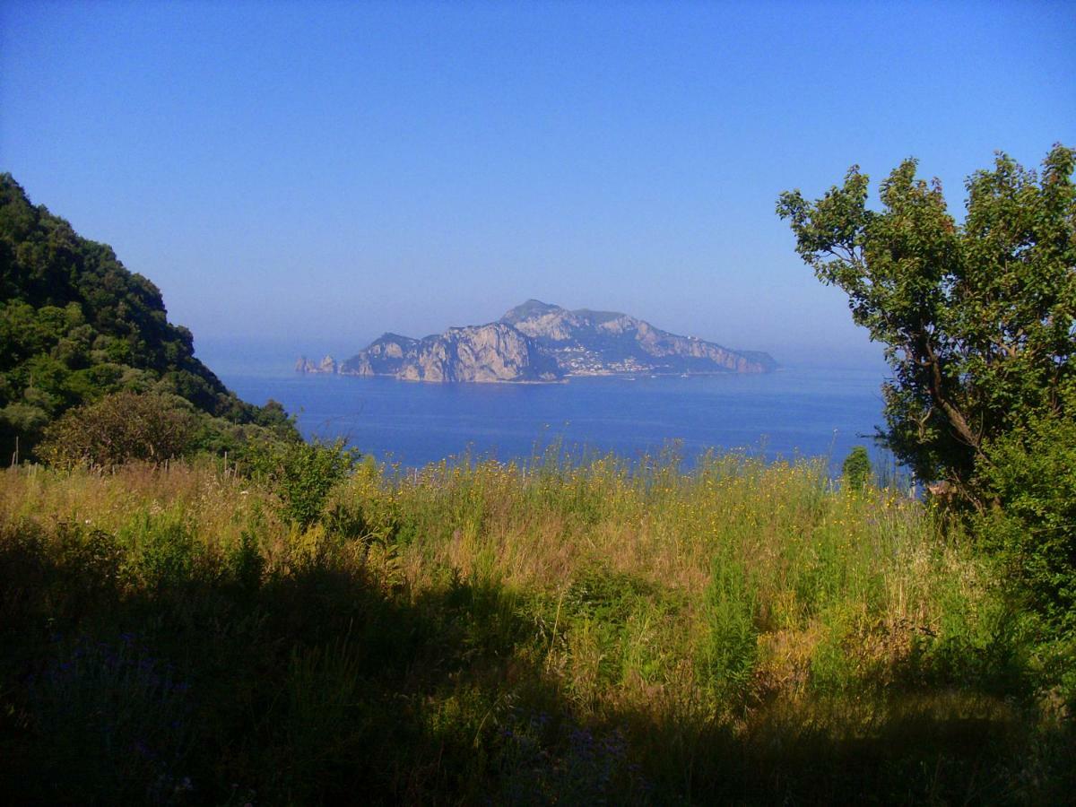 Il Paradiso Degli Dei Agerola Zewnętrze zdjęcie